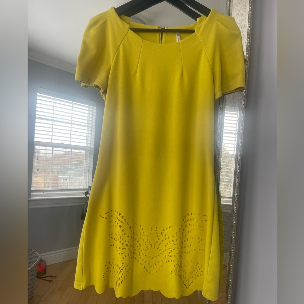 Brand is Spicysugar mini dress in mustard. medium